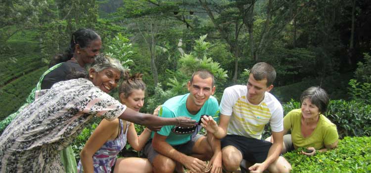 Family Tours