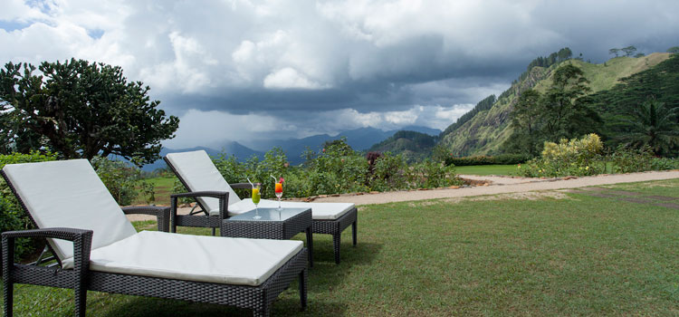 Luxury packages